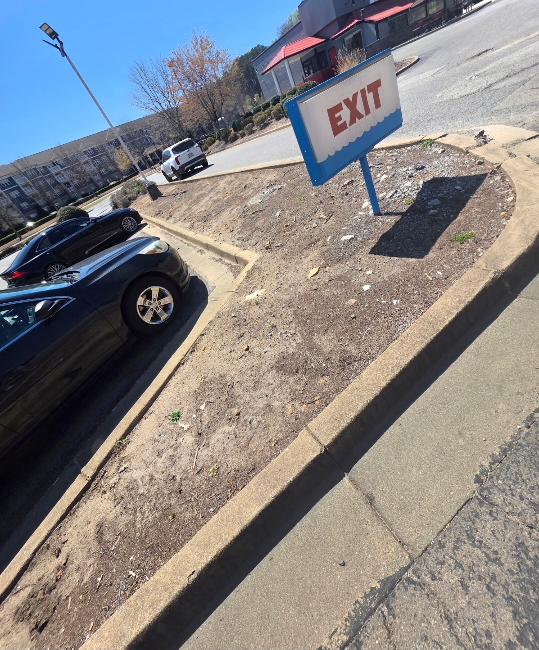 Commercial Median Renovation - Before