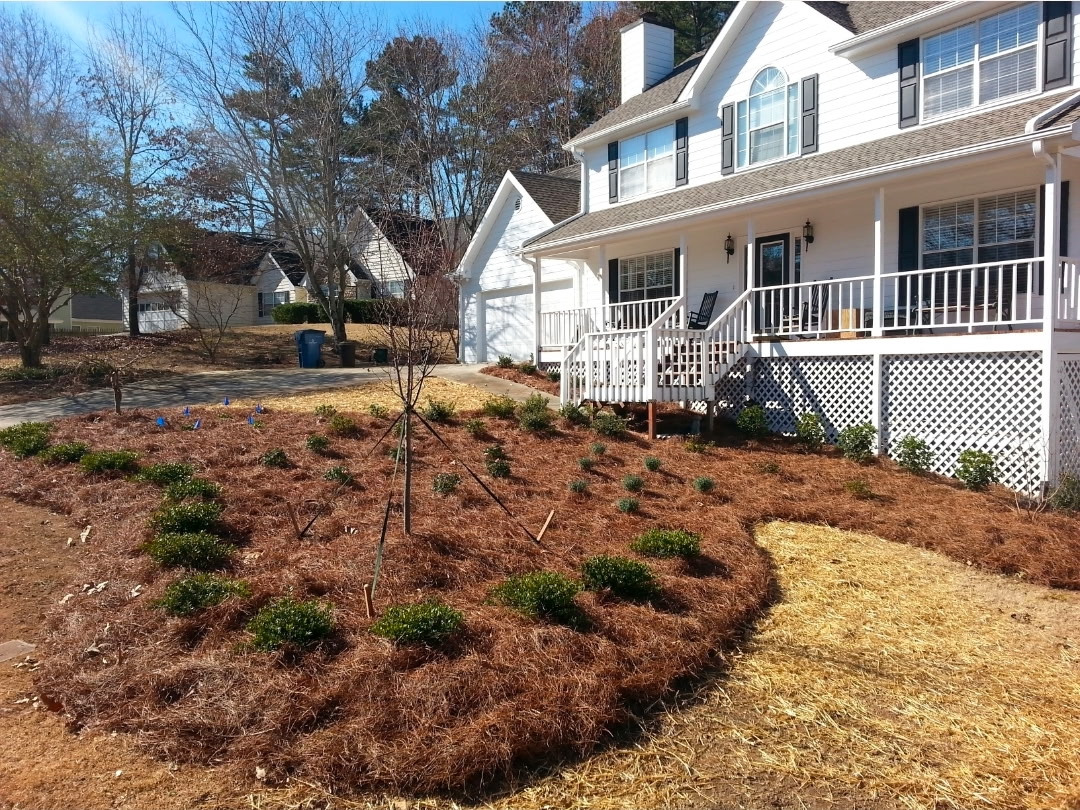 Front Yard Bed & Curb Appeal Makeover - After