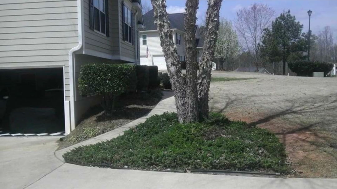 Side Yard Fountain & Stone Planter Makeover - Before