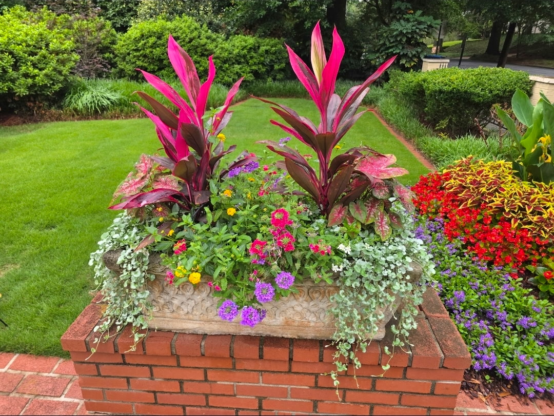 Brick column planter with cordyline, coleus, and verbena