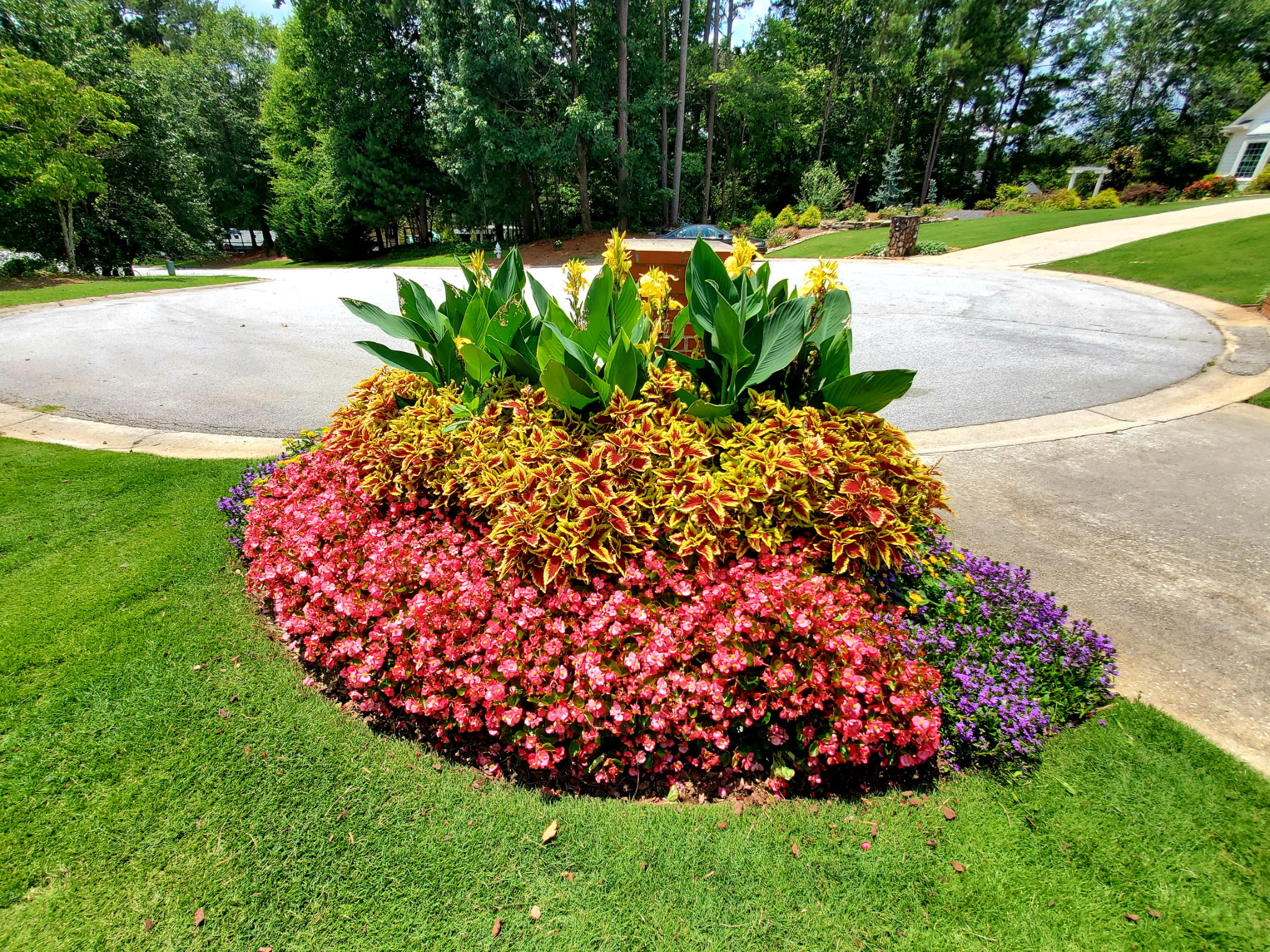 Circular driveway island flowers