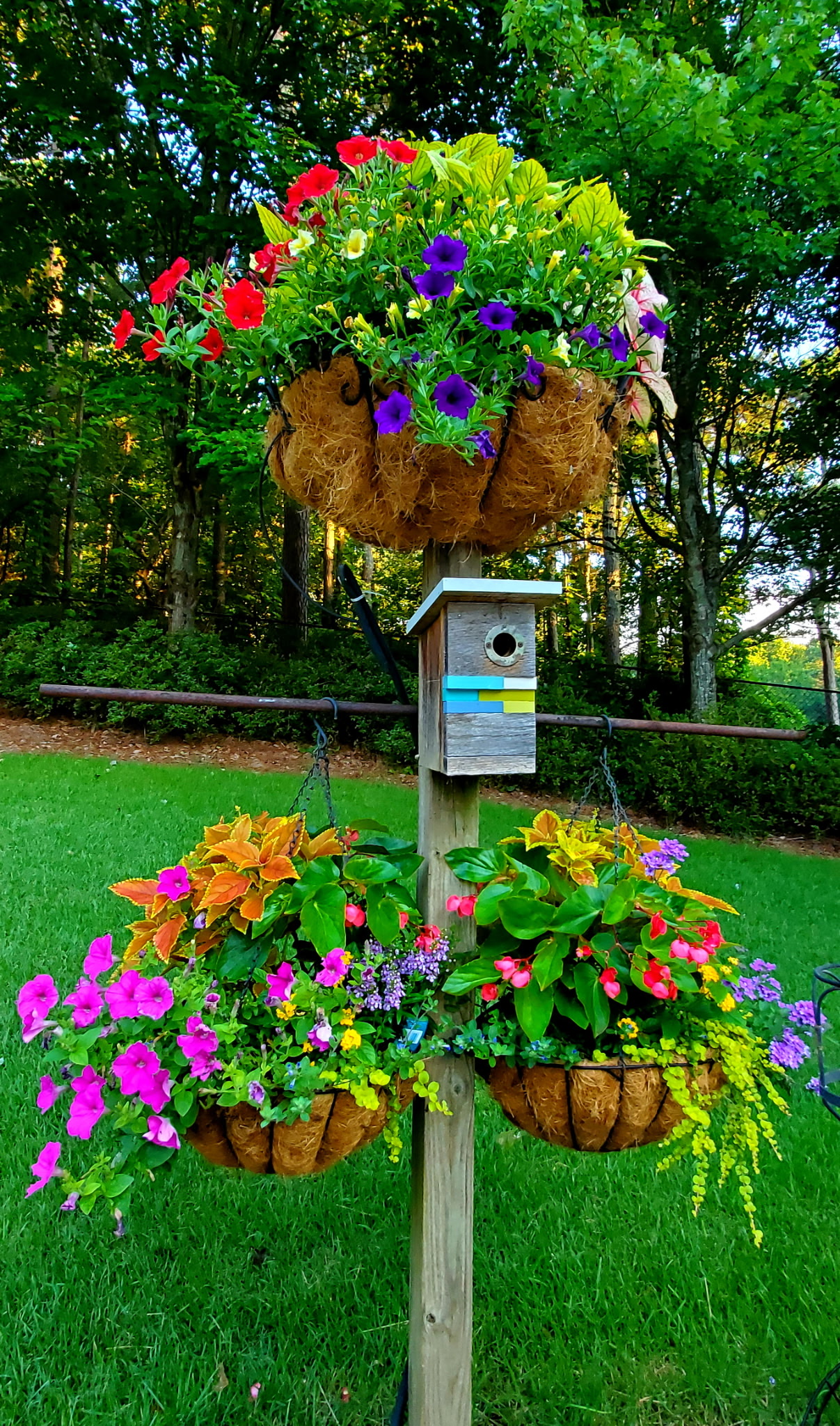 Hanging flower baskets