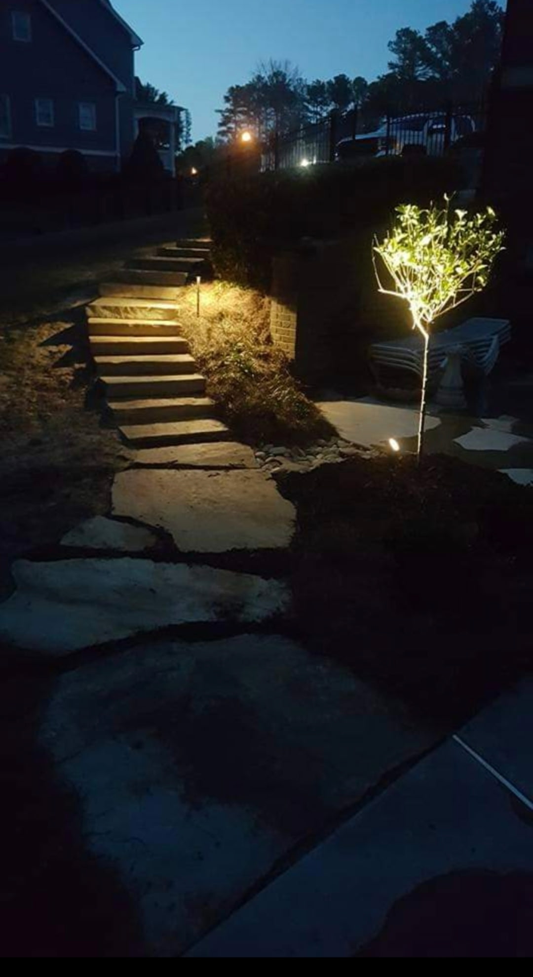 Flagstone steps and path illuminated by landscape lighting at night