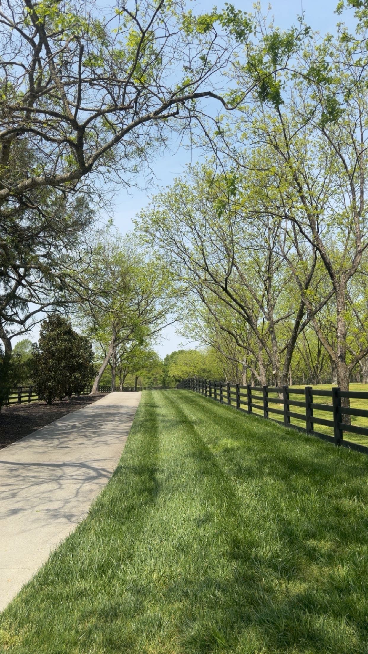 Landscaped property